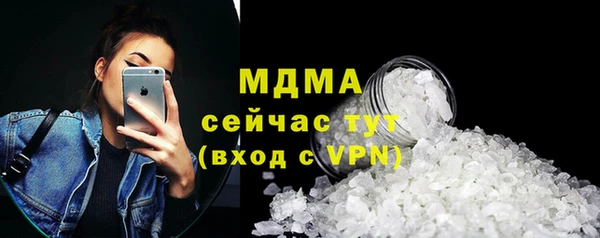 прущие грибы Гусь-Хрустальный