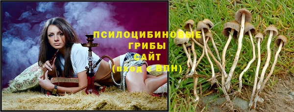 первитин Гусиноозёрск