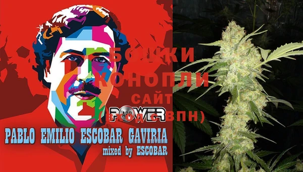 прущие грибы Гусь-Хрустальный