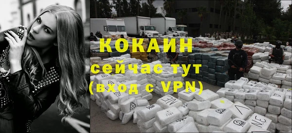 прущие грибы Гусь-Хрустальный