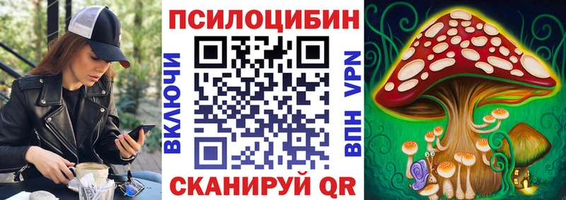 Галлюциногенные грибы Cubensis  OMG зеркало  Камышлов 