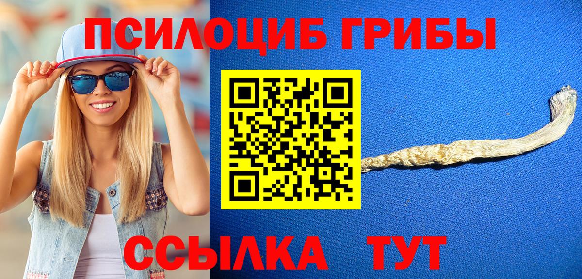 купить   Вход с VPN  Галлюциногенные грибы Psilocybine cubensis  Камышлов  Галлюциногенные грибы Magic Shrooms 