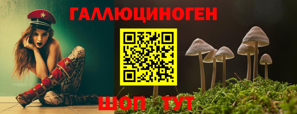 Галлюциногенные грибы мухоморы Камышлов