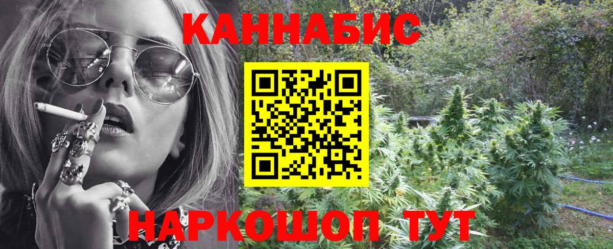МАРИХУАНА планчик Камышлов